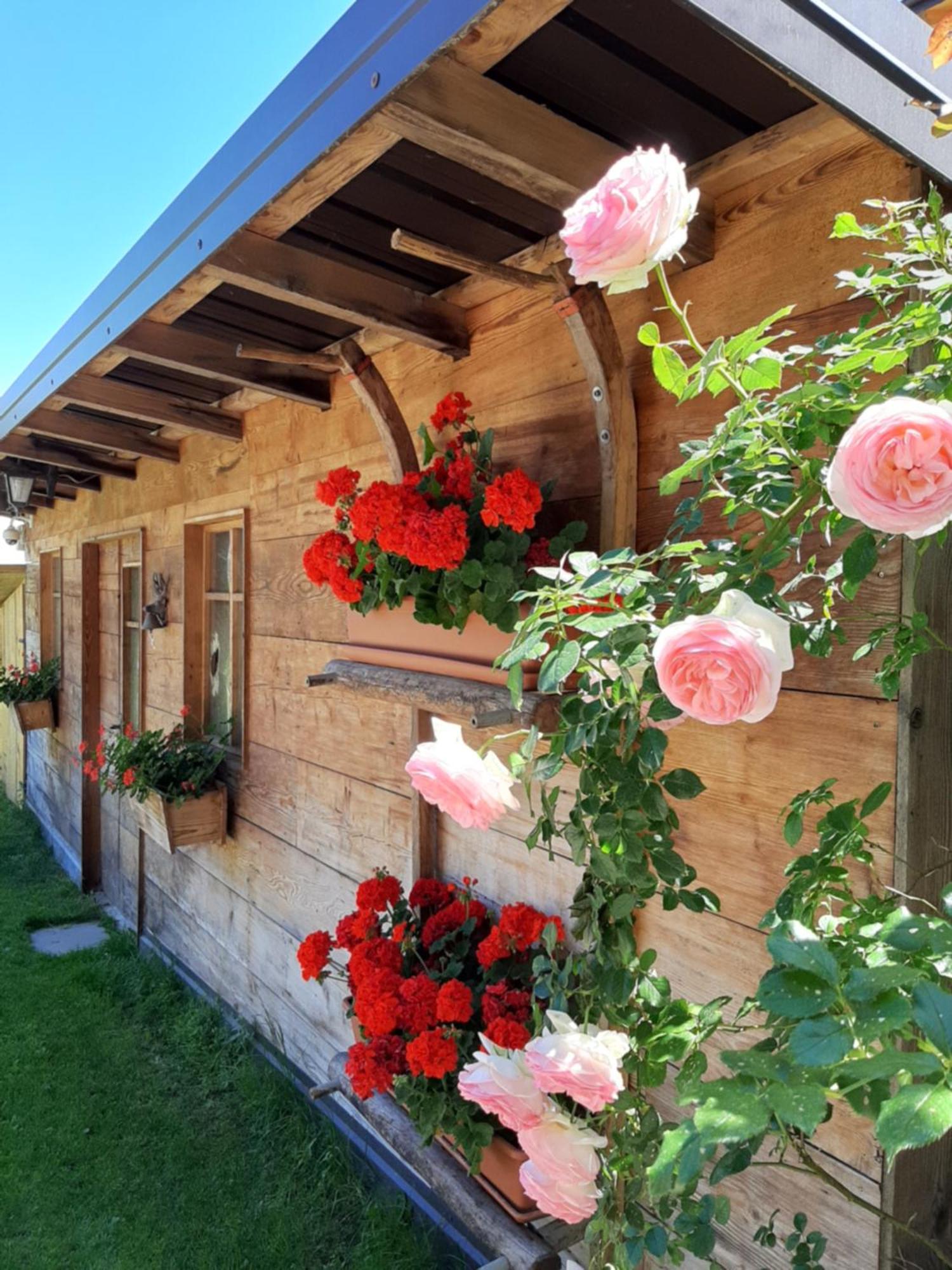 Appartamento Per Vacanze "Il Gelso" โรเวเรโต ภายนอก รูปภาพ