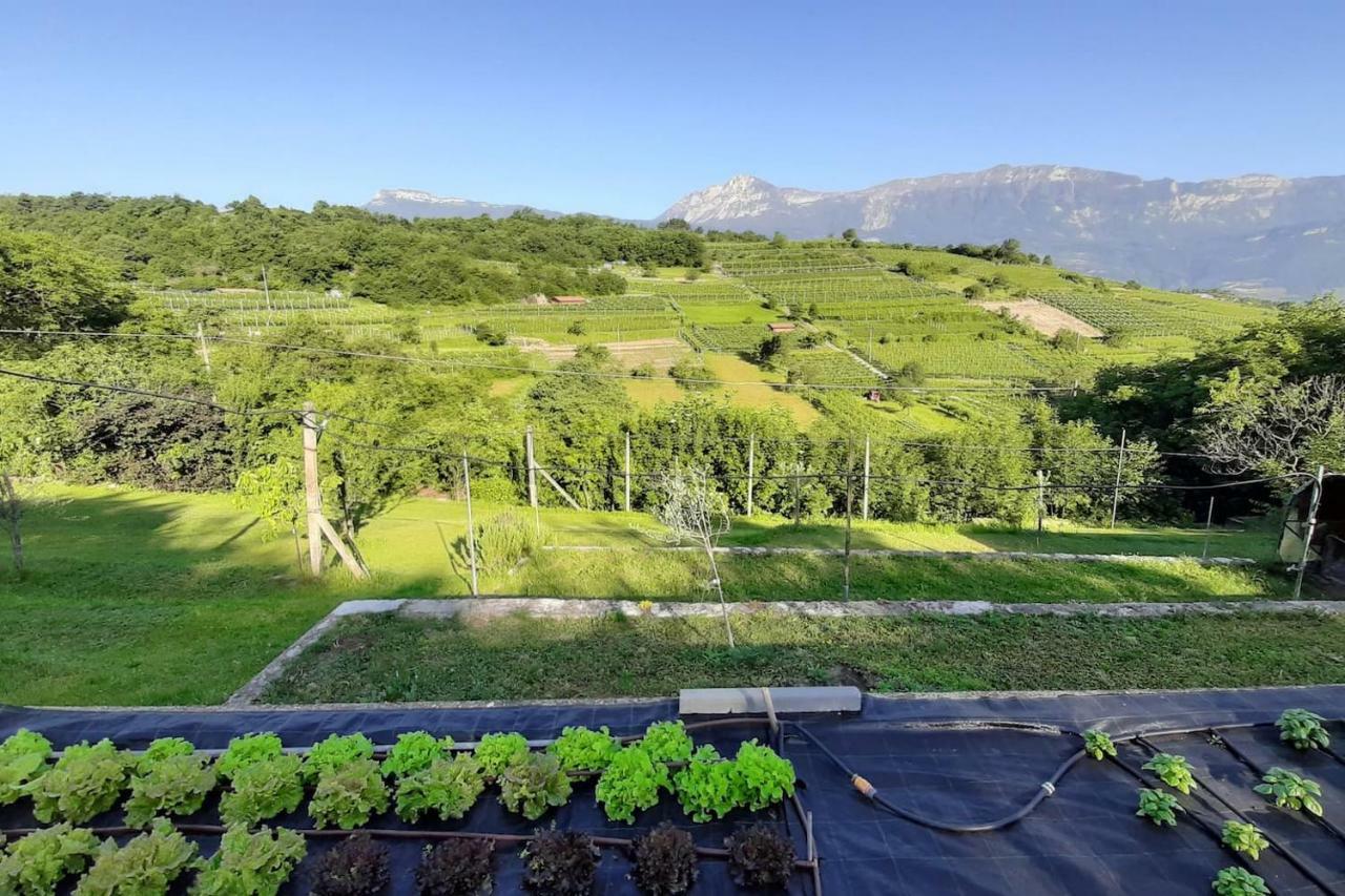 Appartamento Per Vacanze "Il Gelso" โรเวเรโต ภายนอก รูปภาพ